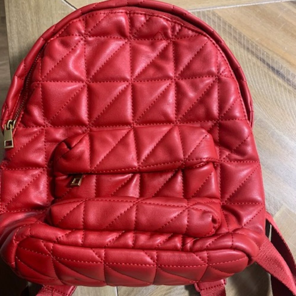 Zara Puffer Chainlink Backpack